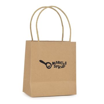 Compact Paper Bag With Matching Twisted Paper Handles