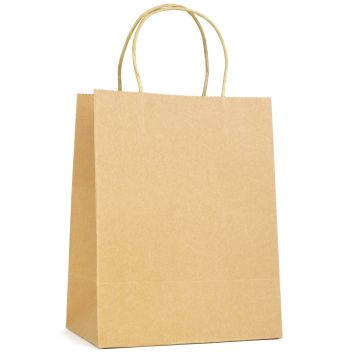 Brunswick Medium Natural Paper Bag